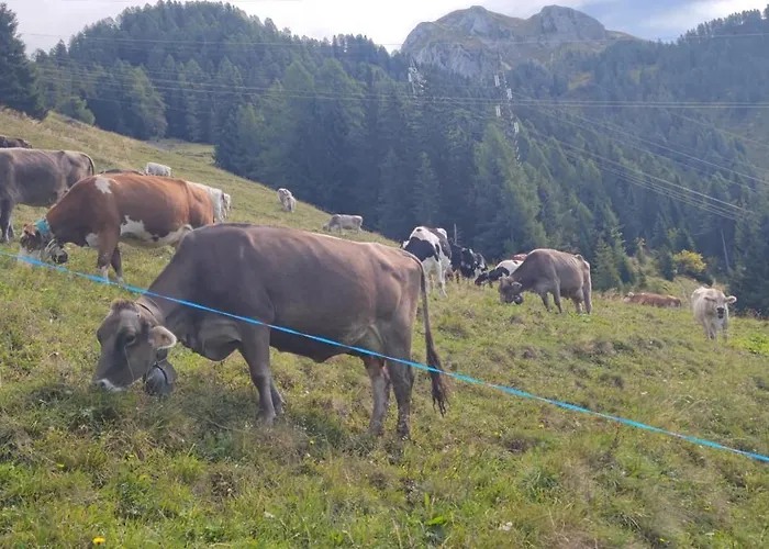 Brembo A Casa Di Barbara Apartament *